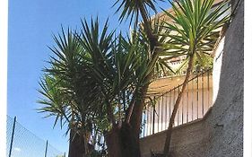 Il Tronchetto